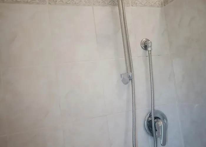 Gorropis 西尼斯科拉