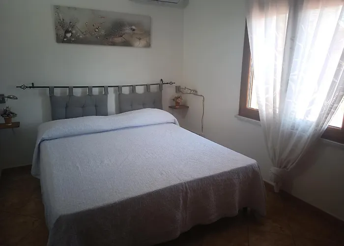 Gorropis 西尼斯科拉